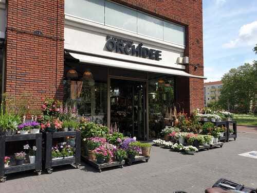 Verhuizing naar nieuwe pand Bloemenhuis Orchidee