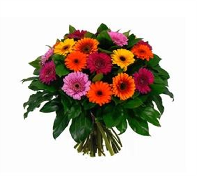 Gerbera boeket